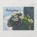 Recherche de cactus saguaro cartes postales Voyage