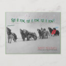 Recherche de traîneau cartes postales Huskies