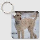 Recherche de caniche standard porteclés Blanc