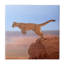 Recherche de ciel rouge carreaux Paysage