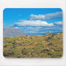Recherche de patagonia tapis souris L'argentine