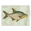 Recherche de poissons de lac cartes postales Sport
