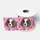 Recherche de pivoine rubans Motif