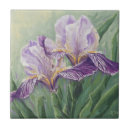 Recherche de iris pourpre Peinture