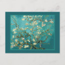 Recherche de amandier cartes postales Amandier en fleurs