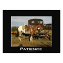 Recherche de equin art Chevaux