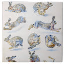 Recherche de lapin sauvage carreaux Animal