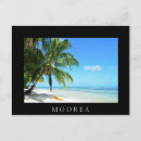 Recherche de palmier noir et blanc cartes postales Plage