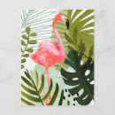 Recherche de roses cartes postales Tropical