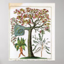 Recherche de arbre plante posters Vertical