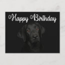 Recherche de labrador retriever noir cartes postales Mignon
