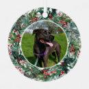 Recherche de couronne ornements Chien