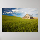 Recherche de wheat field posters Agriculture