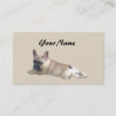 Recherche de français bouledogue cartes visite Animaux