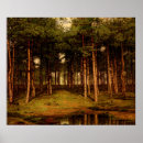 Recherche de sapin posters Forêt