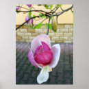 Recherche de mur de briques posters Rose
