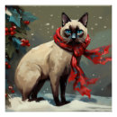 Recherche de de chat siamois posters Pour tous
