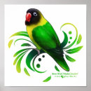 Recherche de perroquet vert posters Oiseau