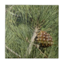 Recherche de botanicals carreaux Toute personne