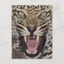 Recherche de plein cadre cartes postales Vertical