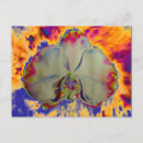 Recherche de abstraite cartes postales Psychédélique