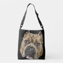 Recherche de chiens accesoires pochettes Taureau