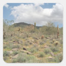 Recherche de sonoran desert autocollants Pour tous