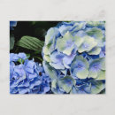 Recherche de conservatoire posters Floraison