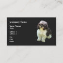 Recherche de shih tzu cartes visite Chien
