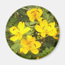 Recherche de cas magnets Nature