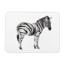 Recherche de permanent magnets Animaux