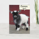 Recherche de 59 vœux cartes Drôle