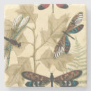 Recherche de insecte bar Libellules