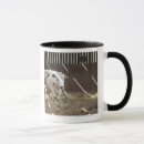 Recherche de intégrale tasses Horizontal
