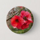 Recherche de fleurs japonaises badges Rose