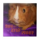 Recherche de cobaye carreaux Cavy