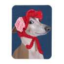 Recherche de levrier magnets Animaux