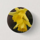 Recherche de jonquille badges Jaune