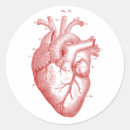 Recherche de coeur rond Pour tous