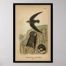 Recherche de chimney posters Vintage