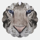 Recherche de tête de tigre ornements Animal sauvage