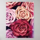 Recherche de bouquet posters Bouquet de rose