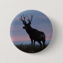 Recherche de mules badges Toute personne