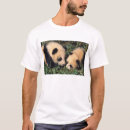 Recherche de sichuan Bambou