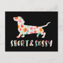 Recherche de chien teckel cartes postales Fleurs