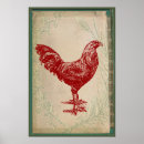 Recherche de coq rouge posters Coqs