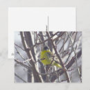 Recherche de oiseaux en hiver cartes postales Scène hivernale
