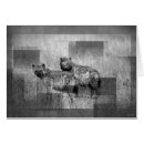 Recherche de hyènes cartes postales Animaux