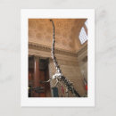 Recherche de histoire naturelle cartes postales Dinosaure