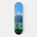 Recherche de washington skateboards Paysage